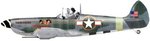 the_buzzard_177.jpg
