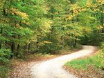 country_road_in_autumn__nashville__indiana_169.jpg