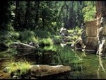 nature-1_107.jpg