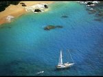 nature-4_130.jpg