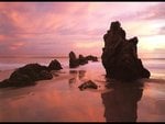 nature-7_106.jpg