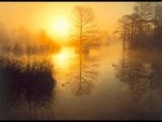 nature-8_188.jpg
