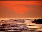 nature-12_445.jpg