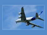 airbus-11_160.jpg