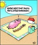 pig_674.jpg