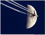 moon_335.jpg