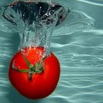 tomato_156.jpg