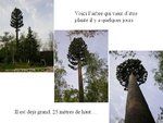 special-tower-2_184.jpg