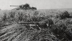 mg-42_position_-_beside_them_a_panther_ausf_a_834.jpg