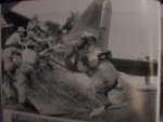 warhorse_180.jpg