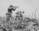u.s_marines_in_the_pacific_134.jpg