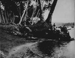 u.s_marines_take_cover_199.jpg