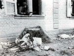 a_u.s_soldier_with_m1_carbine_over_a_dead_german_133.jpg