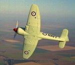 sea_fury_c_203.jpg