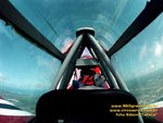 z_h_circo25_975.jpg