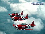 z_h_circo11_133.jpg