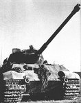 pz.kpfw_vi_ausf_b__king_tiger___12__622.jpg