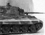 king_tiger__233_236.jpg