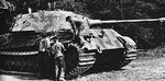 king_tiger__300_623.jpg