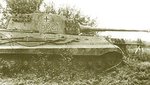 king_tiger__502_485.jpg