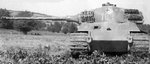king_tiger__104_146.jpg