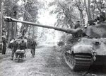 king_tiger__114_163.jpg
