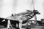 112_sqn_mustang_iva__1__197.jpg