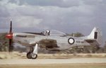 mustang_iv_432.jpg