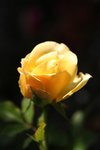 IMG_4879.jpg