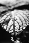 IMG_4863.jpg