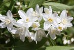 IMG_0879.jpg