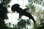 IMG_2938.jpg