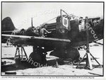 Fran Hunt with p-39.jpg