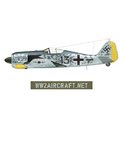 WW2_Aircraft_Net_Fw190A5.jpg