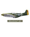 WW2_Aircraft_Net_P51D.jpg