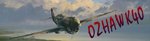 ozhawk40.jpg