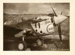 P-40 Aleutians Noseart.jpg