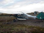 bear-vs-cub-vs-man_photo-gallery_05.jpg