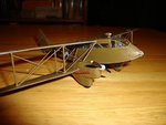 DSC01005.jpg