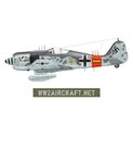 WW2_Aircraft_Net_Fw190A7_1.jpg