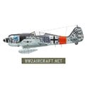 WW2_Aircraft_Net_Fw190A8_1.jpg