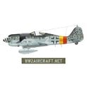 WW2_Aircraft_Net_Fw190A9_1.jpg