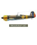 WW2_Aircraft_Net_IAR80_1.jpg