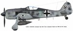 fw190A-6 Muller Stab JG300.jpg