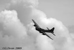 f4.jpg