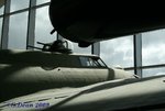 f10.jpg