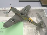 IMGP7009a.JPG