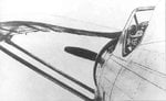 PZL View.JPG