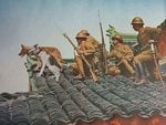 japanese soldier with german dogs in the top of a house in china near peking 1937.jpg
