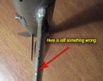 102_4954a.JPG